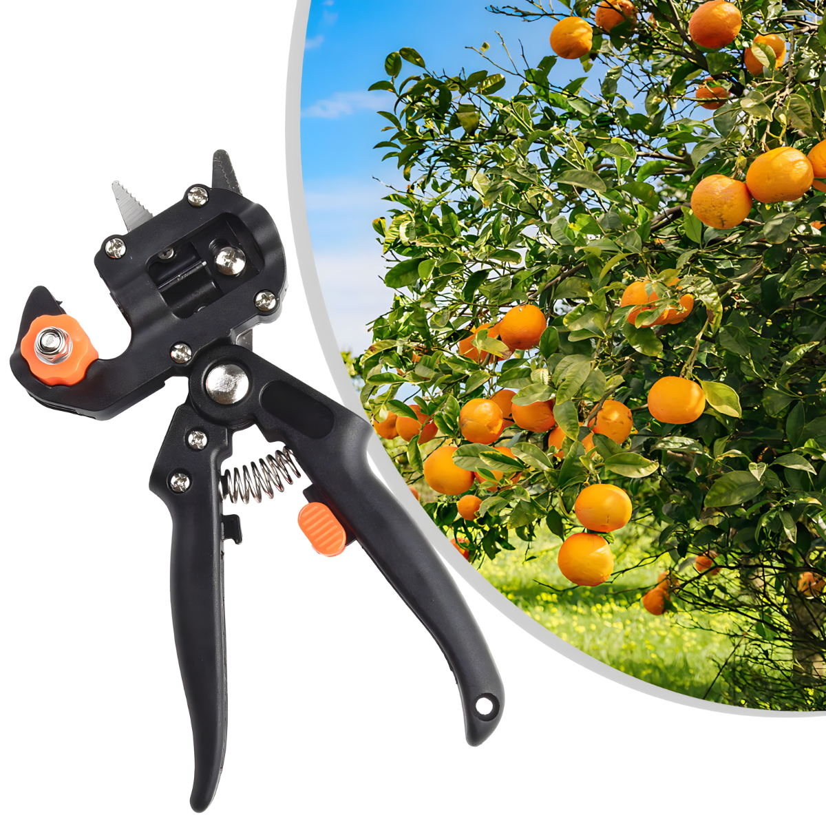 Makaze za kalemljenje voća