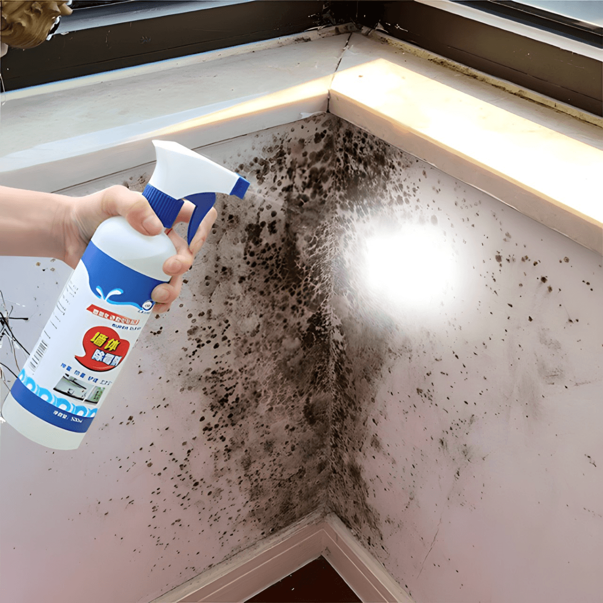 Sprej za uklanjanje i čišćenje plijesni sa zidova Img 4 - Lindomanija